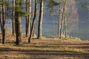 191211  (130) SONY .jpg